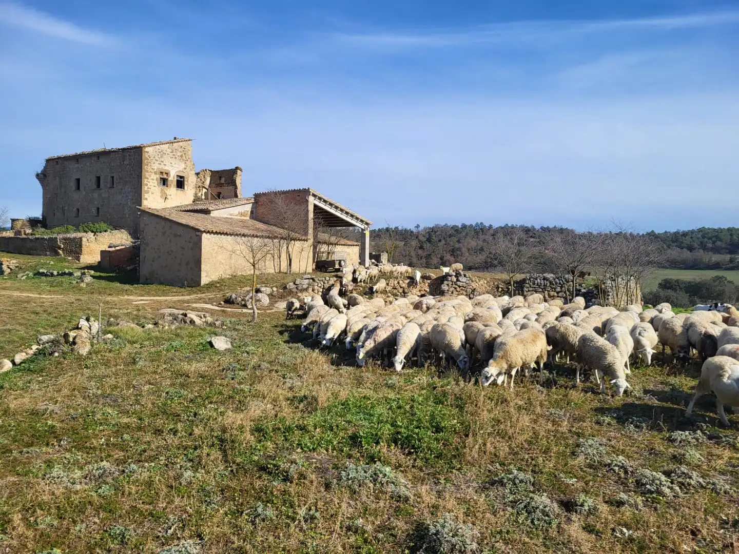 Vista exterior de Terreno en venta en Pinell de Solsonès