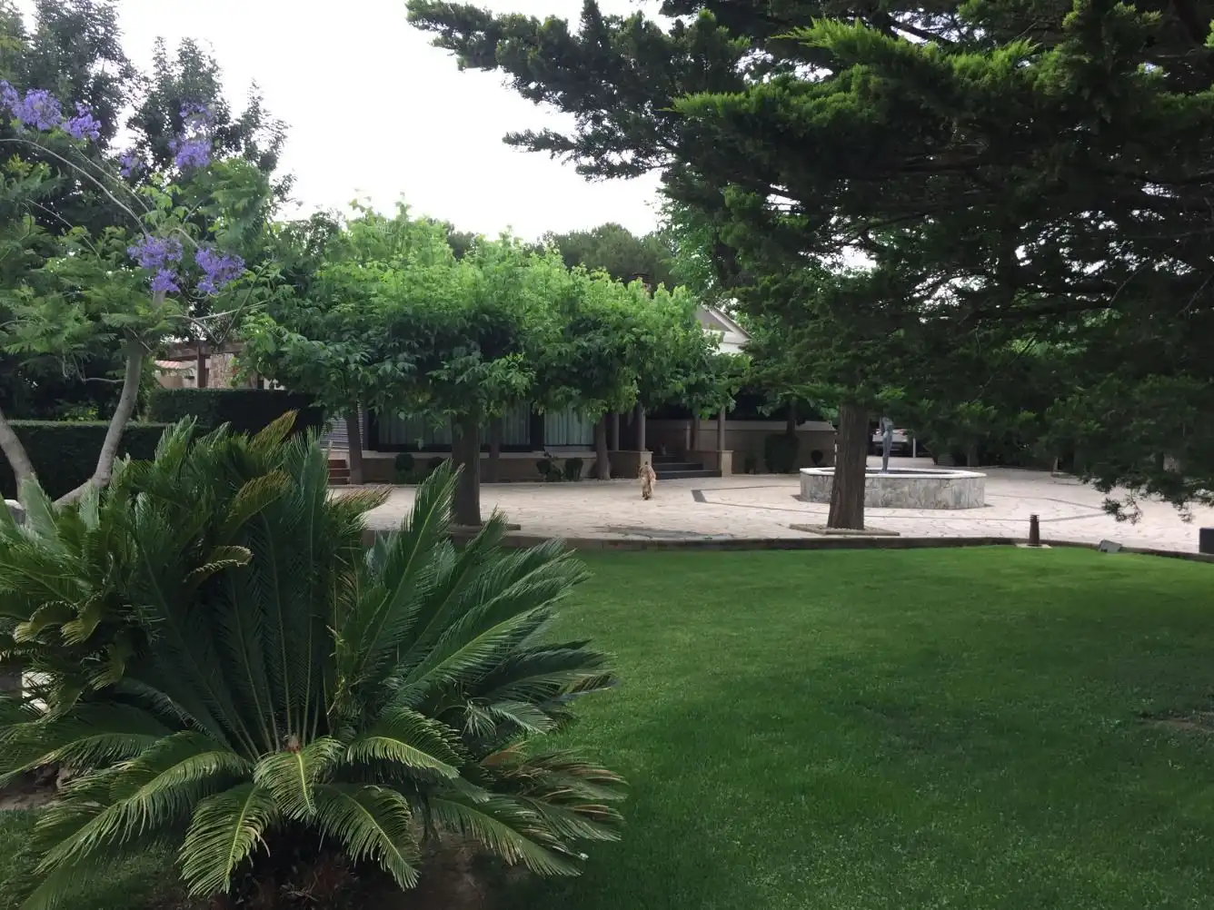House with garden for sale in Els Reguers c15, imagen 60