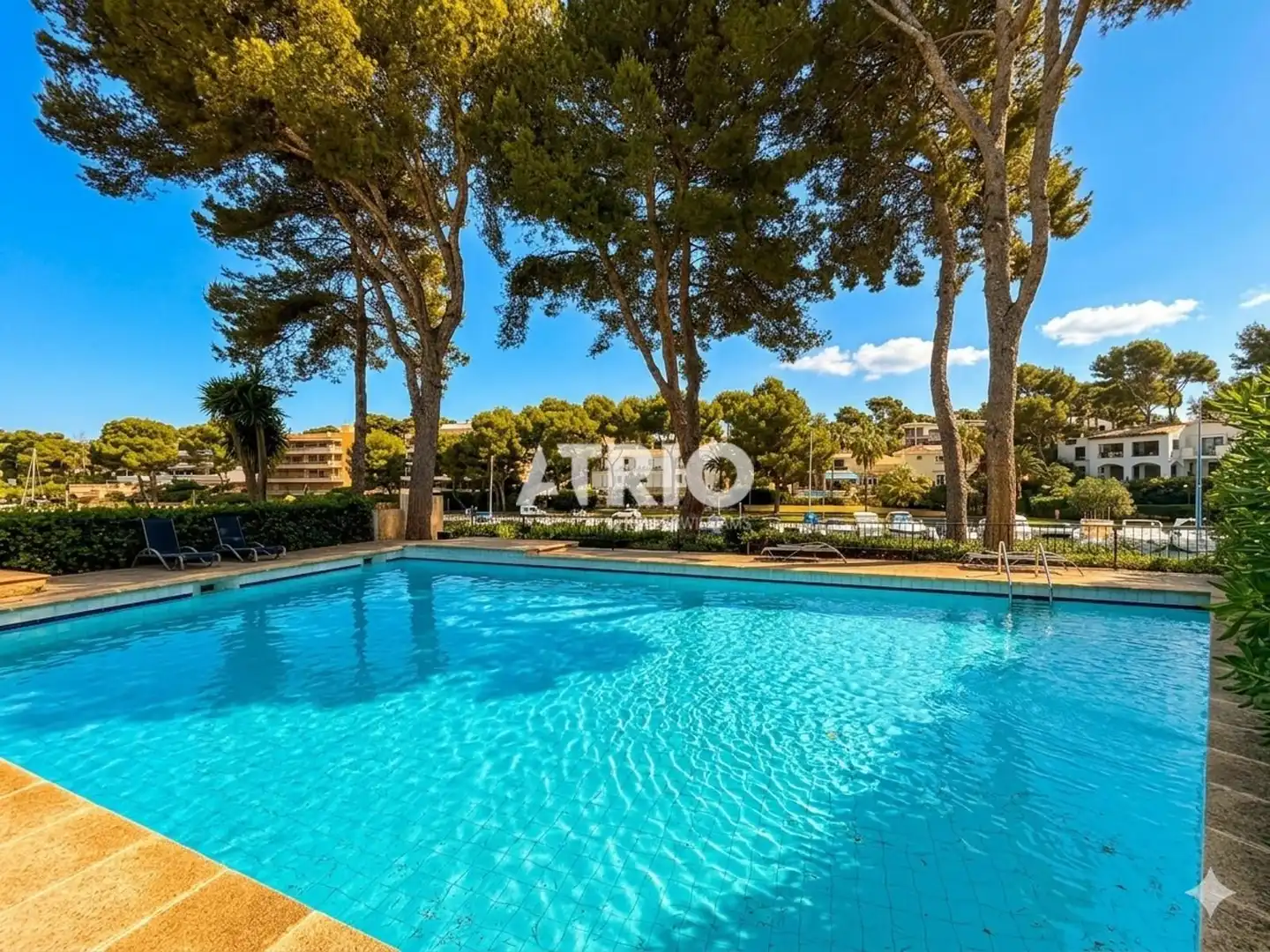 Schwimmbecken von Maisonette zum Verkauf in Calvià mit Klimaanlage, Heizung und Terrasse