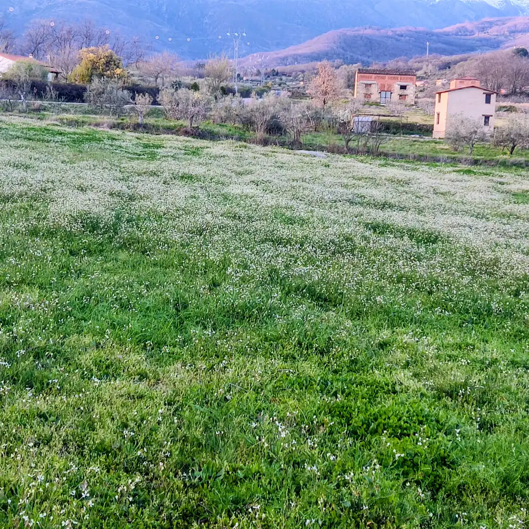 Terreni e lotti in vendita a Avenida de Doña Soledad Vega Ortiz, imagen 8