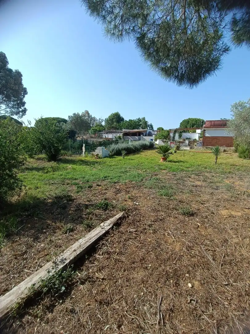 Finca rústica en venda en Puerto Real amb Jardí privat i Piscina