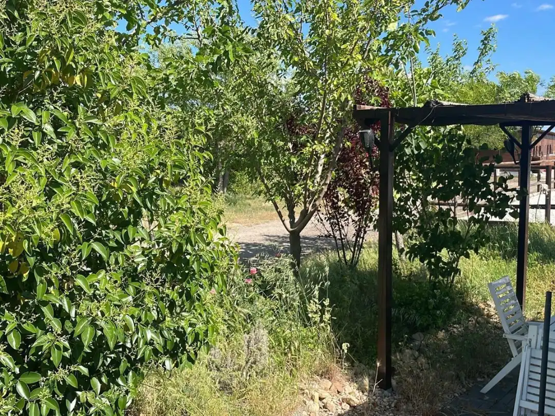 Terreno rustico in vendita a Camino de las Salinas 5, imagen 32