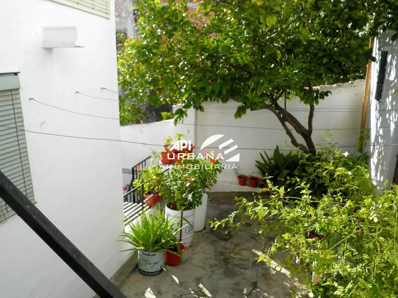 Casa en venta en Calle Bonilla, imagen 4