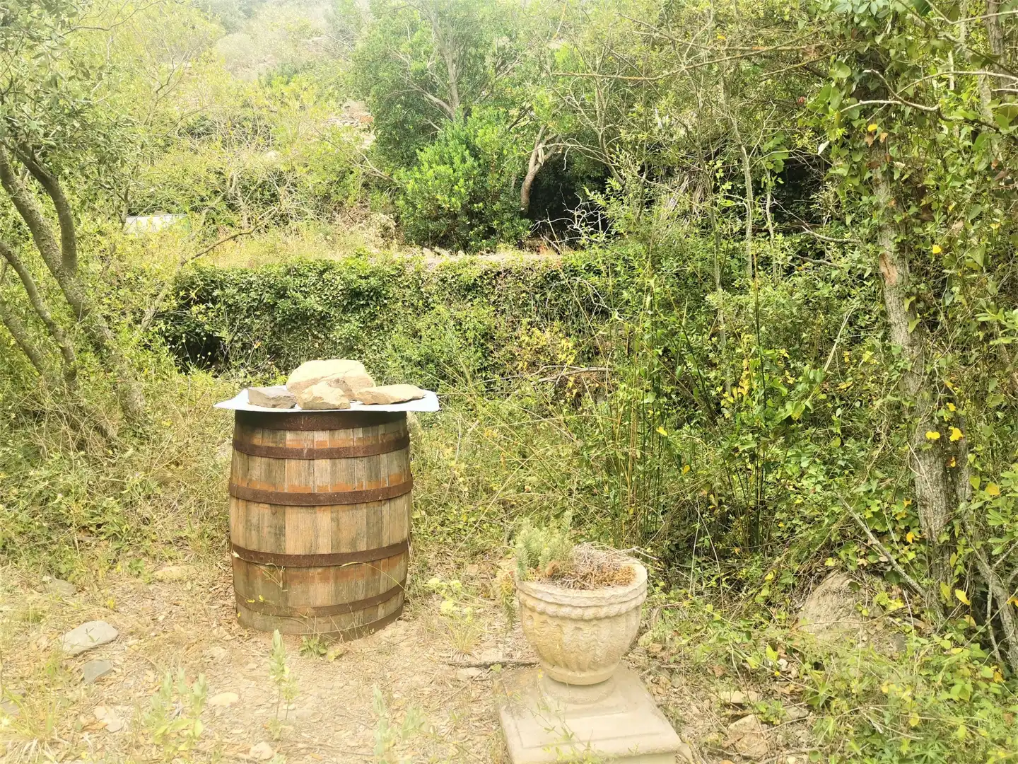 Jardín de Casa o chalet en venta en Porrera con Calefacción, Jardín privado y Terraza