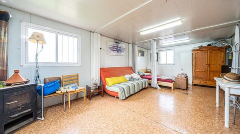 Terreno Rústico en Algaida, immagine 5