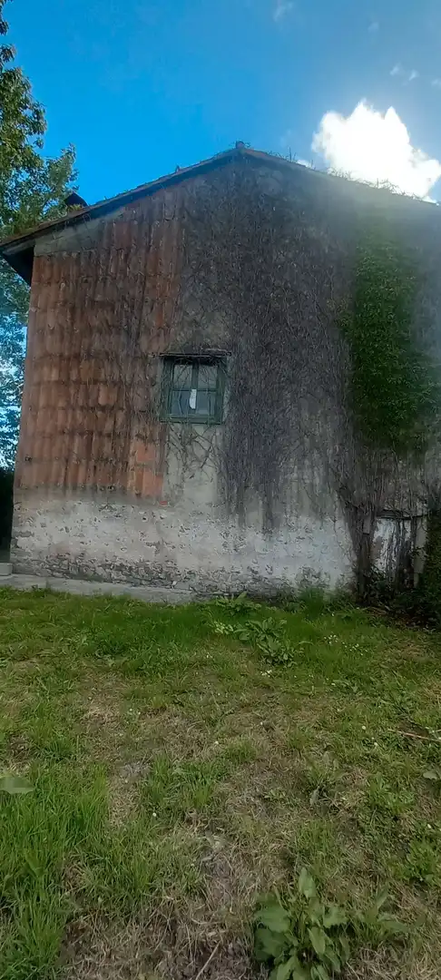 Vista exterior de Finca rústica en venta en Villaviciosa