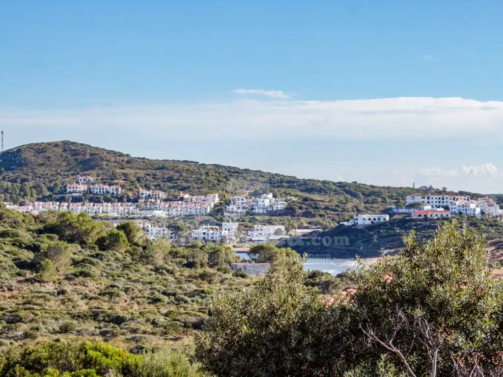 Vista exterior de Casa o xalet en venda en Es Mercadal amb Jardí privat