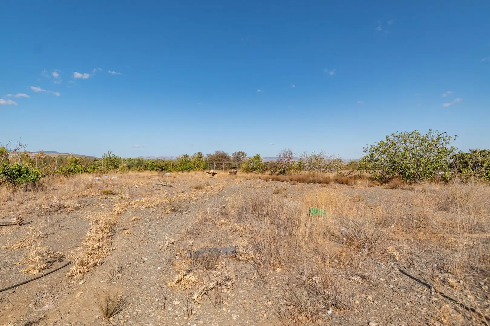 Nave industrial en venta en Cogollos de Guadix