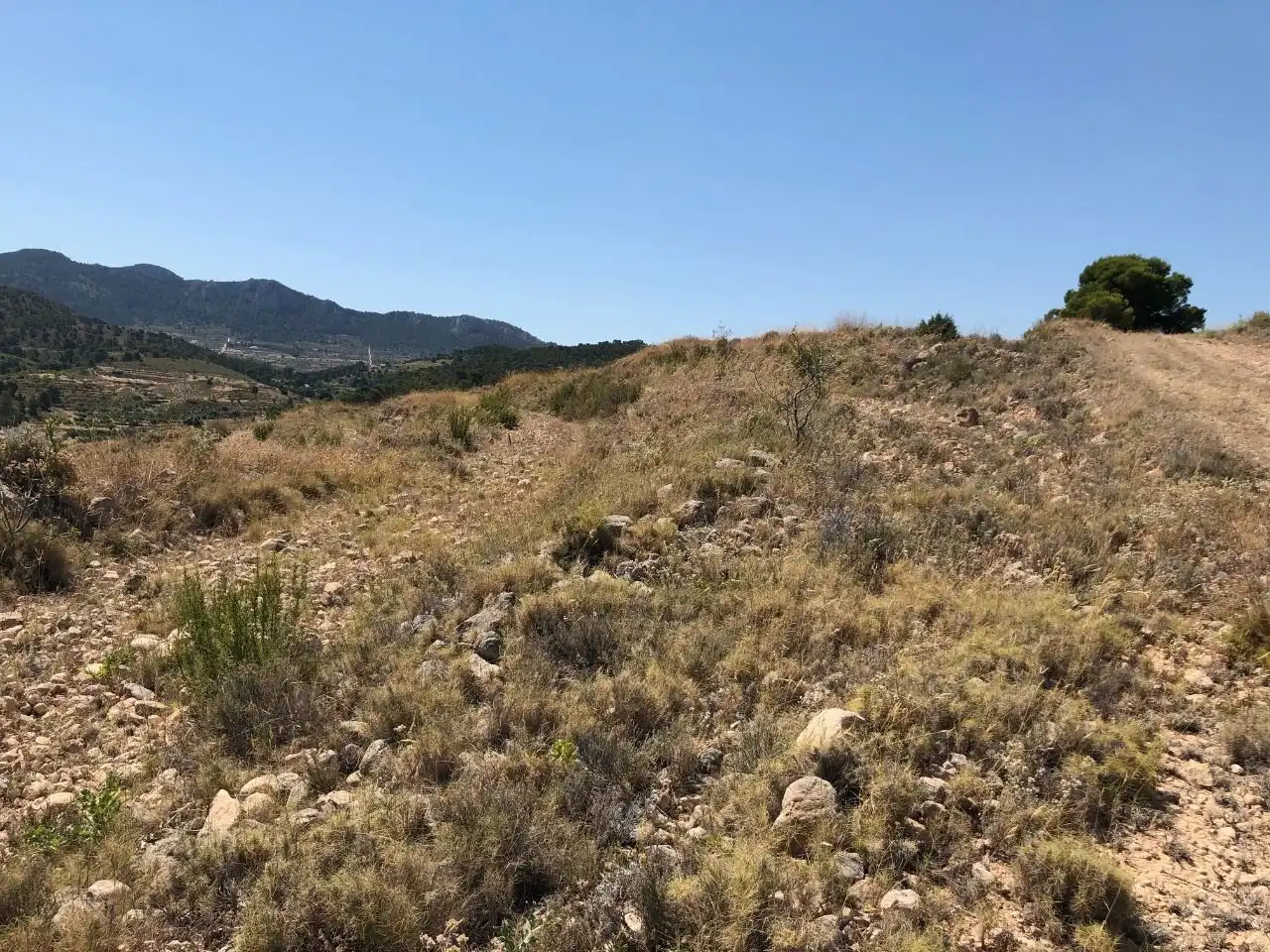 Lands and plots for sale in Abanilla, imagen 7