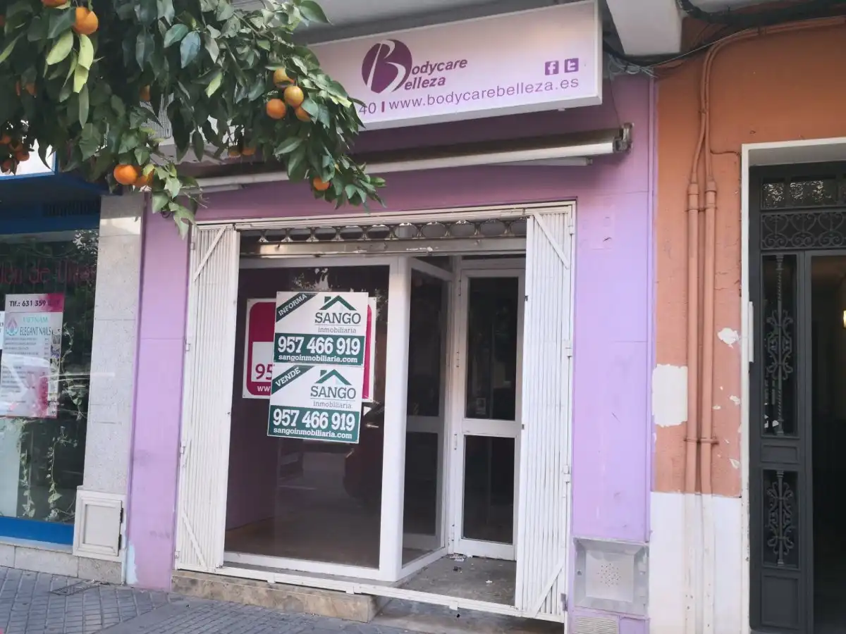 Business premises for sale in Poniente-Sur