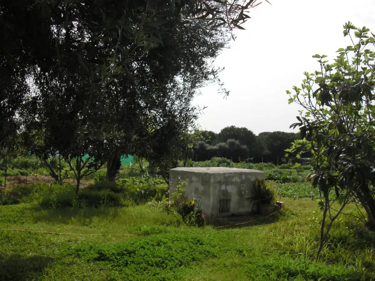 Casa rústica en venda a Vejer, imagen 9