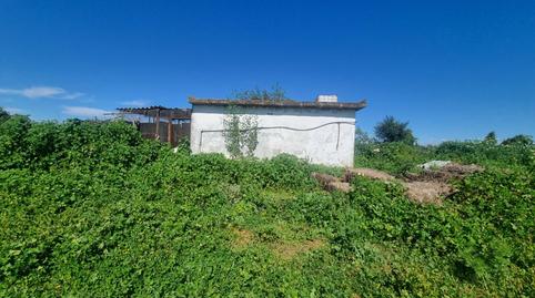 Photo 4 of Land for sale in Carretera Carretera de Almensilla a Mairena, Nuevo Bulevar, Mairena del Aljarafe