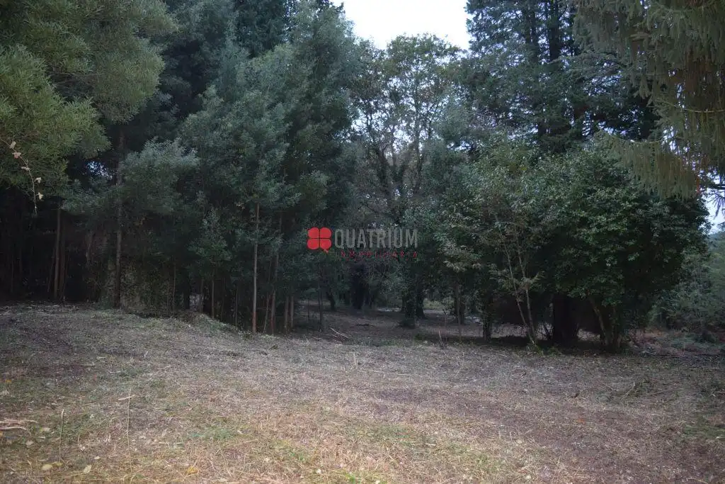Casa o chalet en venta en Santiago de Compostela  con Jardín privado