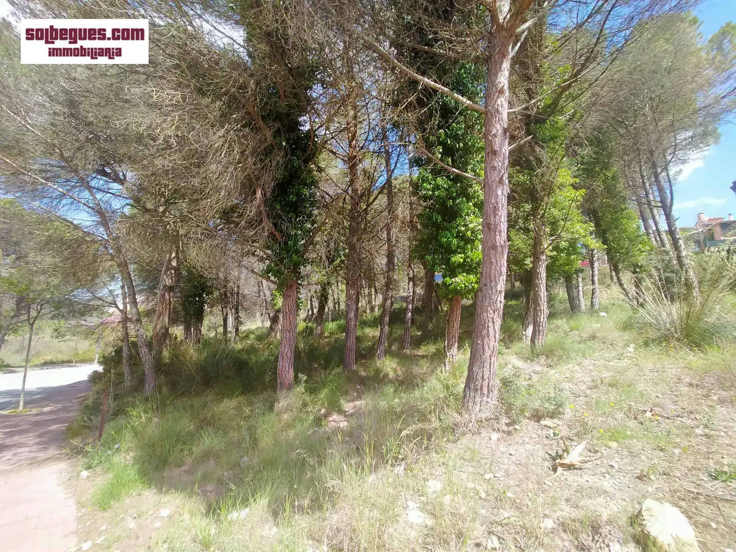 Terrenys i solars en venda a Begues, imagen 9