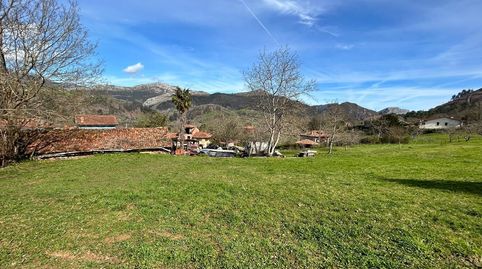 VENTA DE FINCAS EDIFICABLES AL LADO DE ARRIONDAS, imatge 5