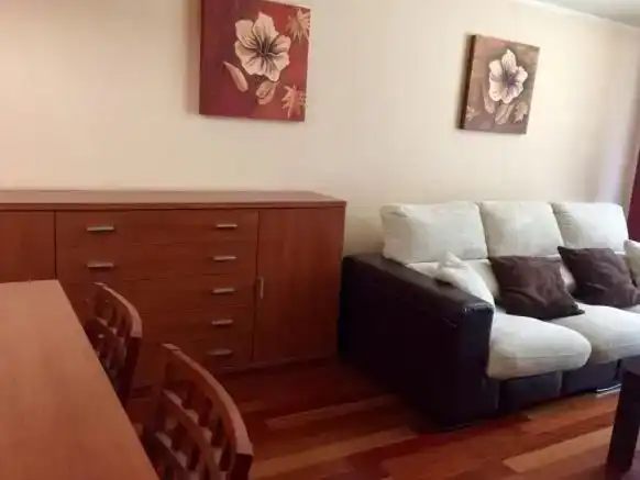 Wohnzimmer von Wohnung zur Miete in Aisa mit Parkett, Abstellraum und Möbliert