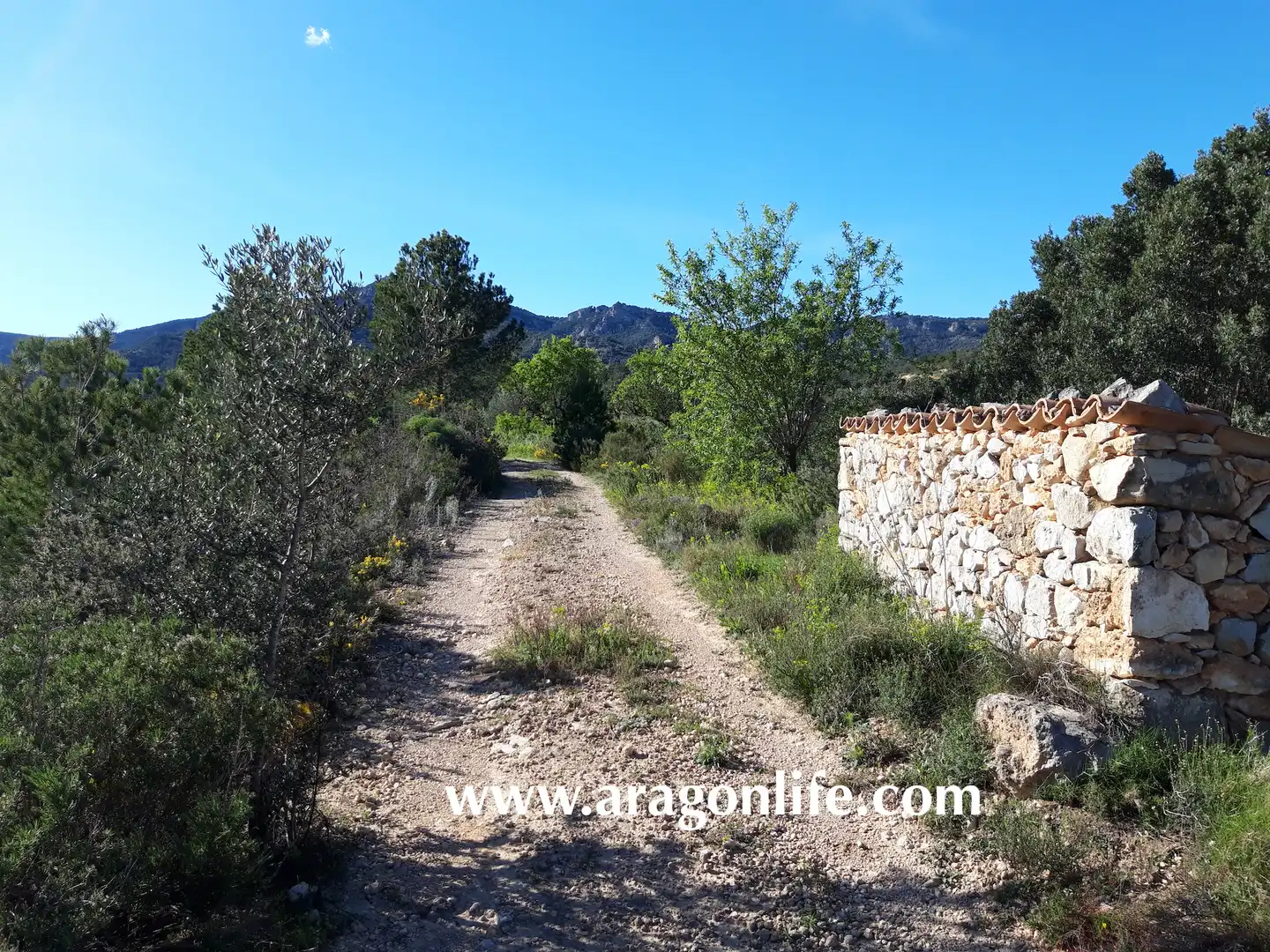 Rural land for sale in C-43, imagen 16