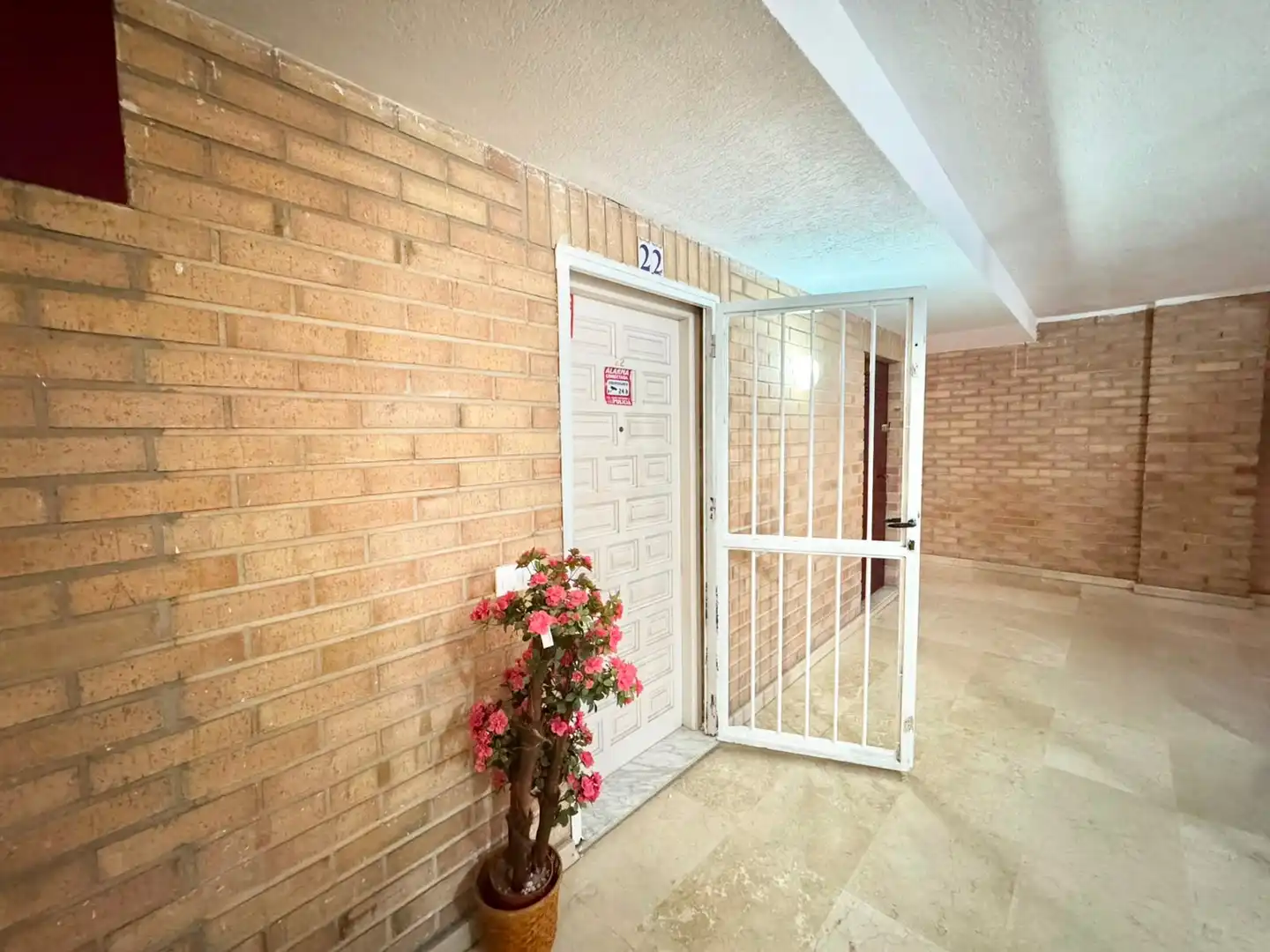 Apartments for rent in Torrevieja  with Terrace, Swimming Pool and Furnished