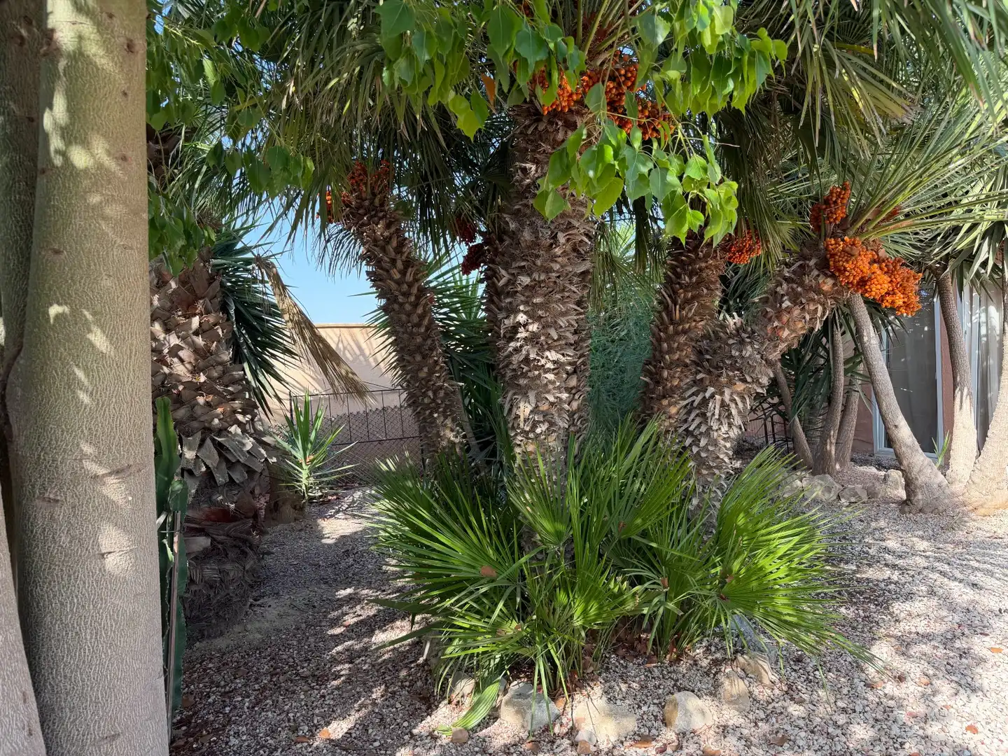 Casa rustica con piscina in vendita a La Marina, imagen 38