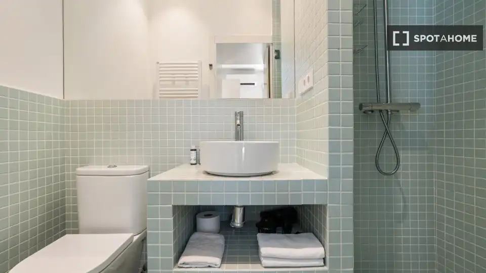 Bany de Apartament per a compartir en Madrid amb Aire condicionat, Calefacció i Terrassa