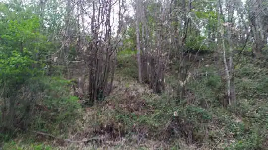 Terreno rustico in vendita a Tras de La Sierra, La Piquera, imagen 4