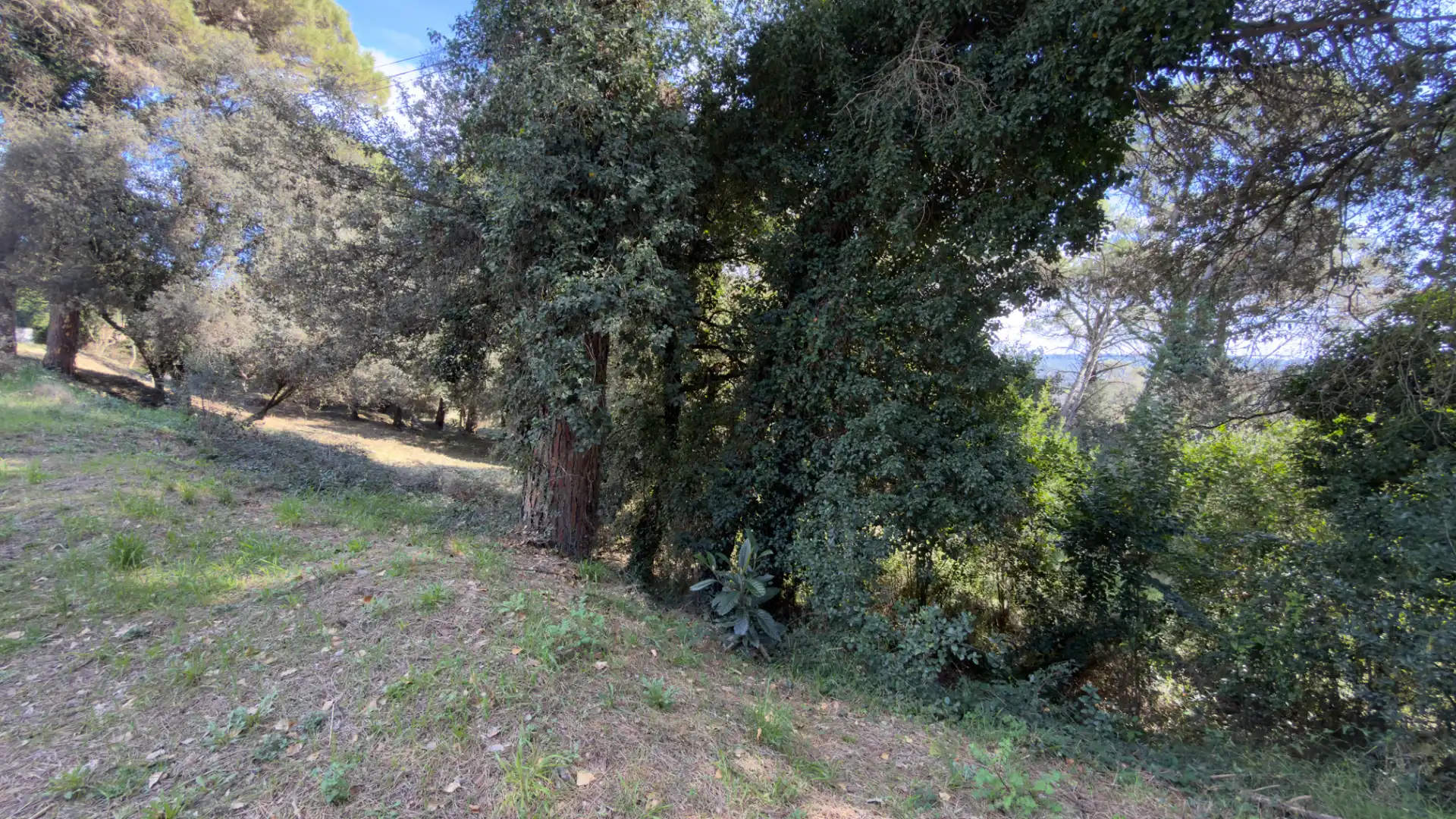 Residencial en venta en Girona