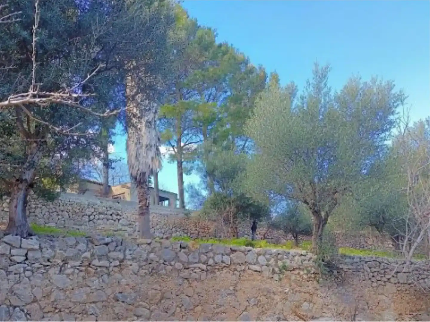 Piso en venta en Campanet con Jardín privado, Trastero y Piscina