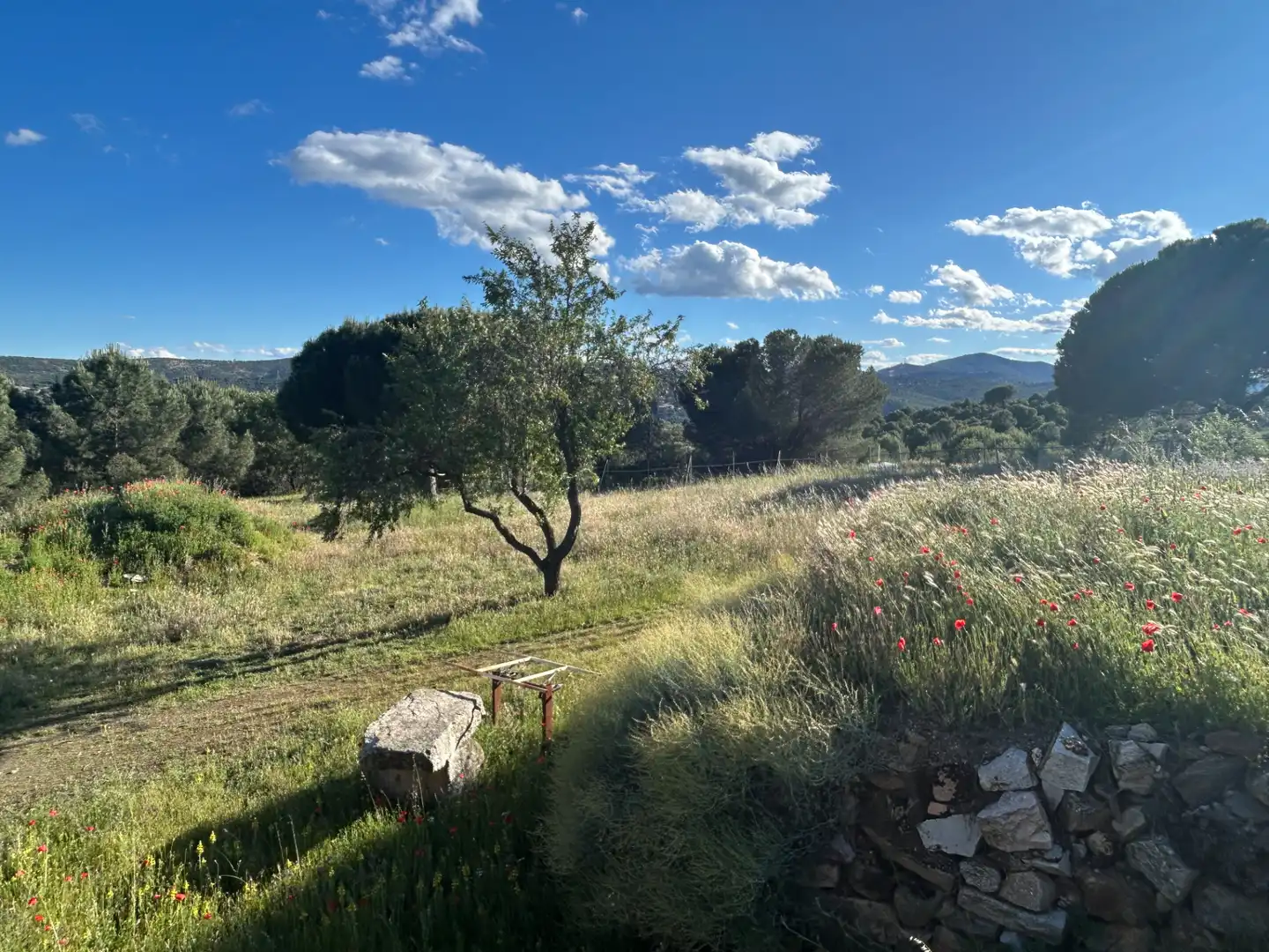 Finca rústica en venta en Navas del Rey con Calefacción, Jardín privado y Terraza