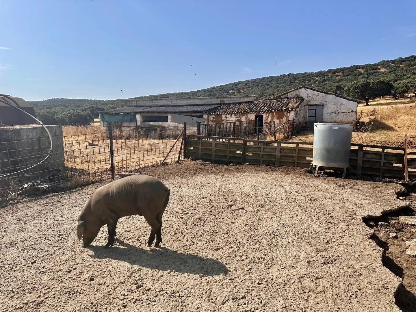 Rural land for sale in Fuente Obejuna, imagen 32