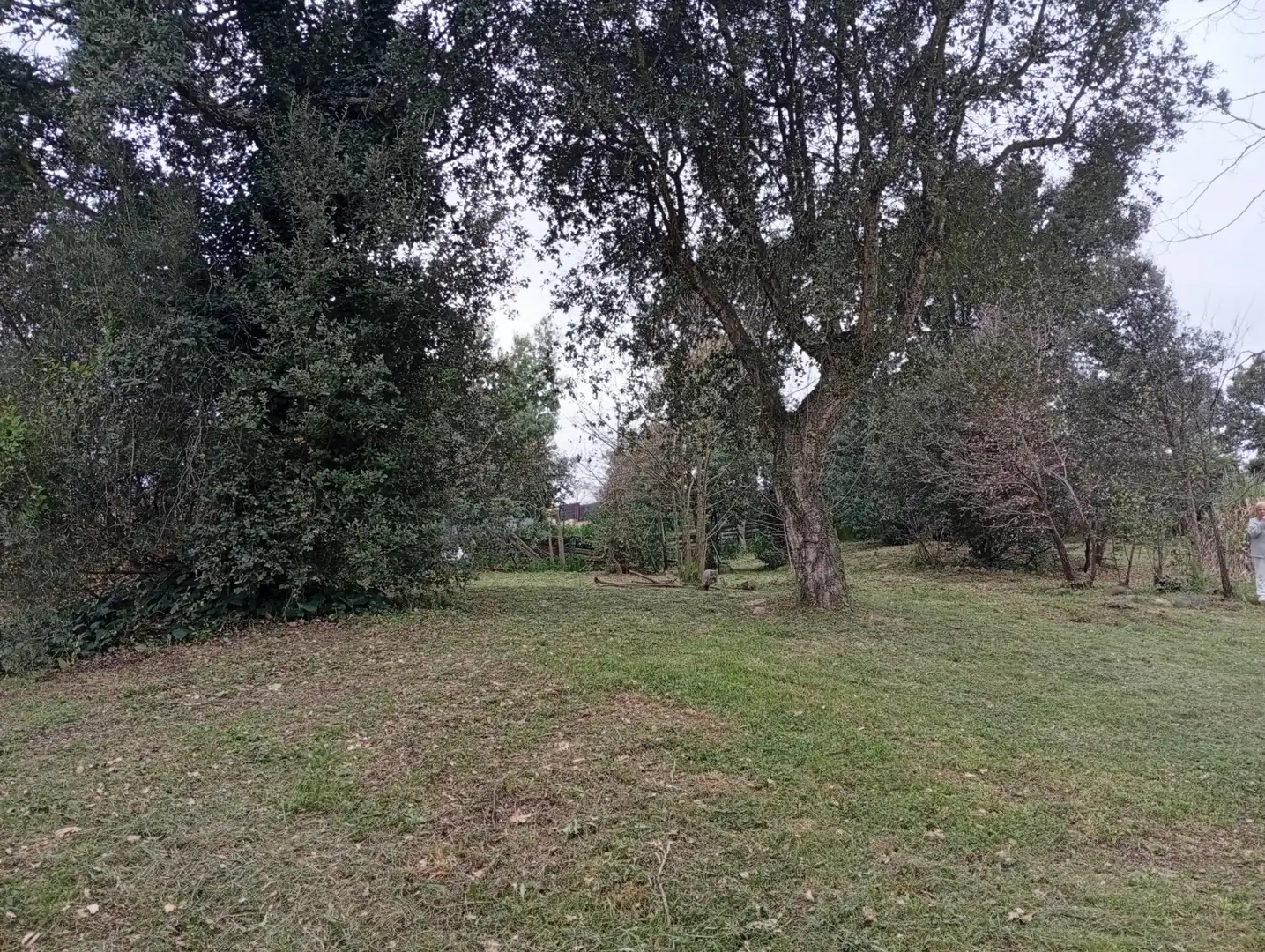 Terreno residencial en venta en Carrer Tramuntana 13