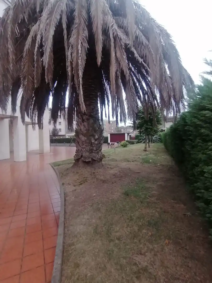 Jardí de Apartament de lloguer en Oeste