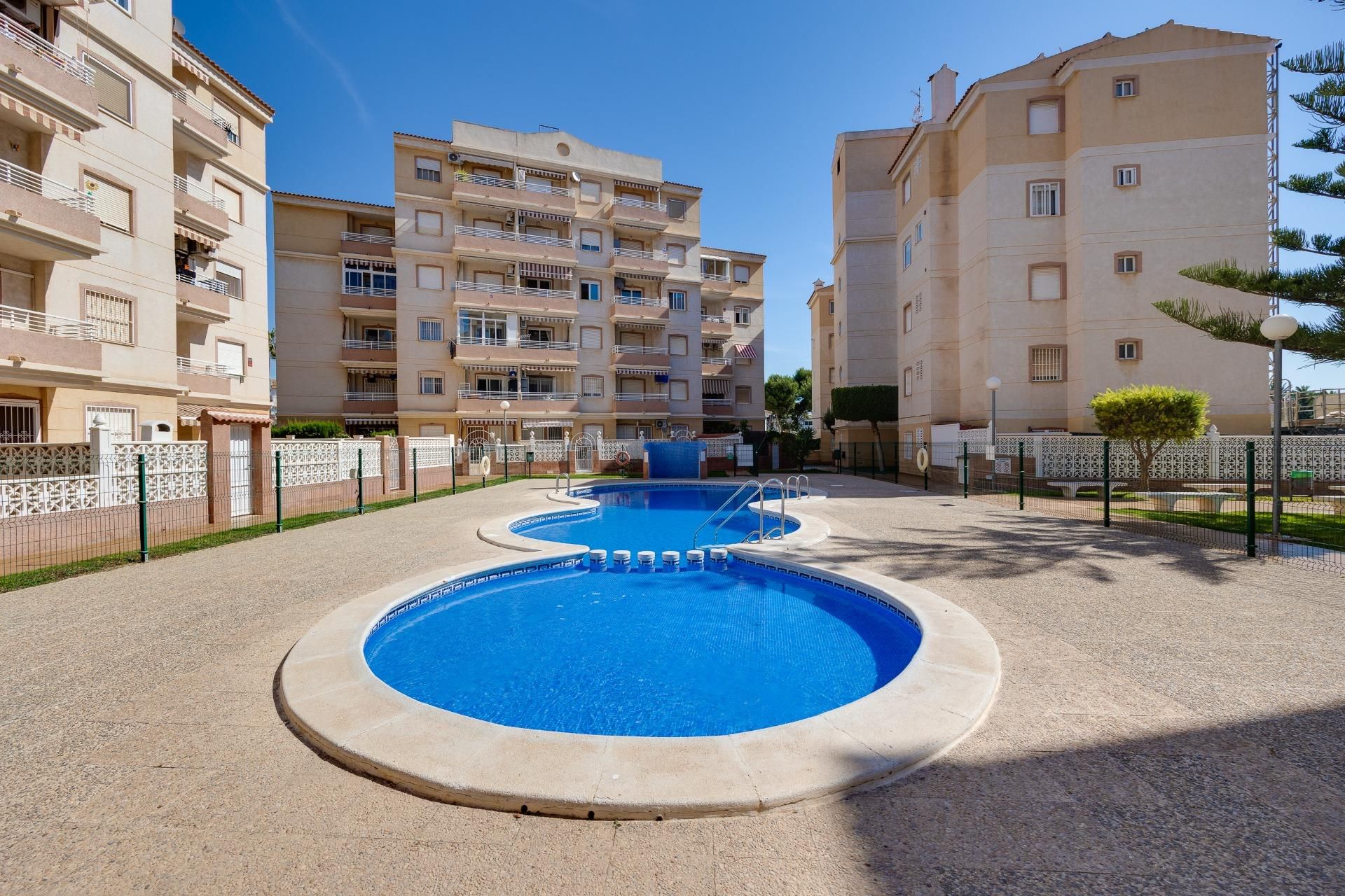 Piscina de Apartamento en venta en Torrevieja con Terraza y Piscina comunitaria