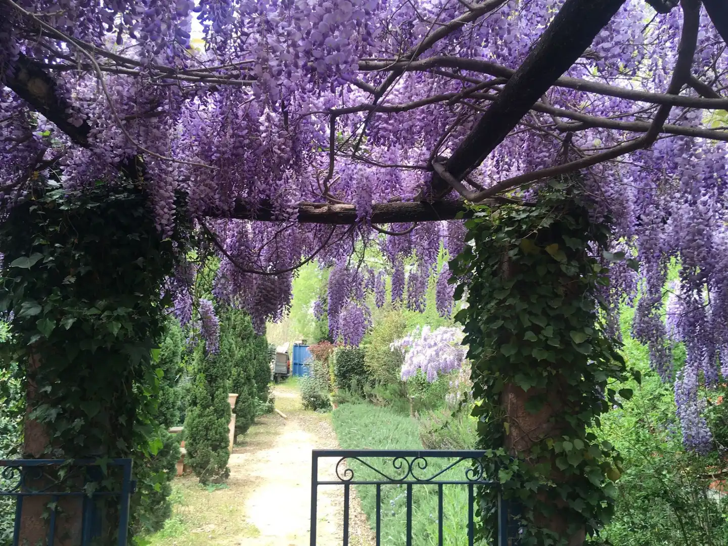 Jardí de Pis de lloguer en Girona amb Aire condicionat, Calefacció i Terrassa