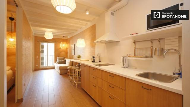 Piso en Alquiler en Barri Gòtic