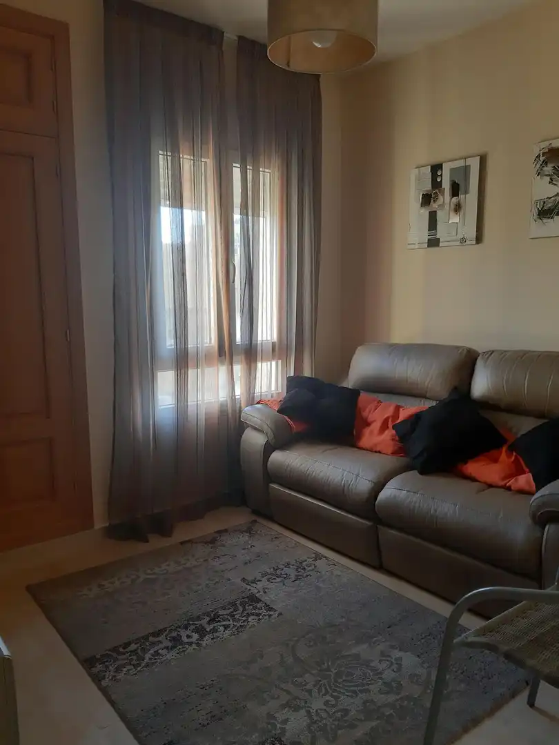 Living room of Flat for rent in Algeciras  with Air Conditioner and Furnished