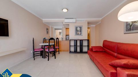 Estudio con piscina comunitaria, en la provincia de Alicante, en la ciudad de Torrevieja, en la zona de Playa de los Locos. 1 habi, imatge 3