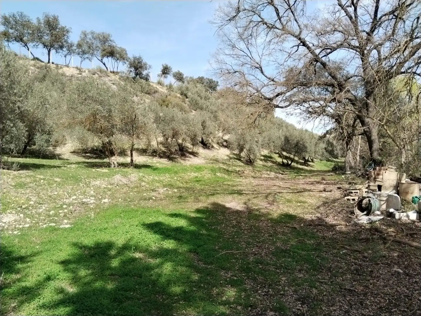 Terreni e lotti in vendita a Atarfe, imagen 3