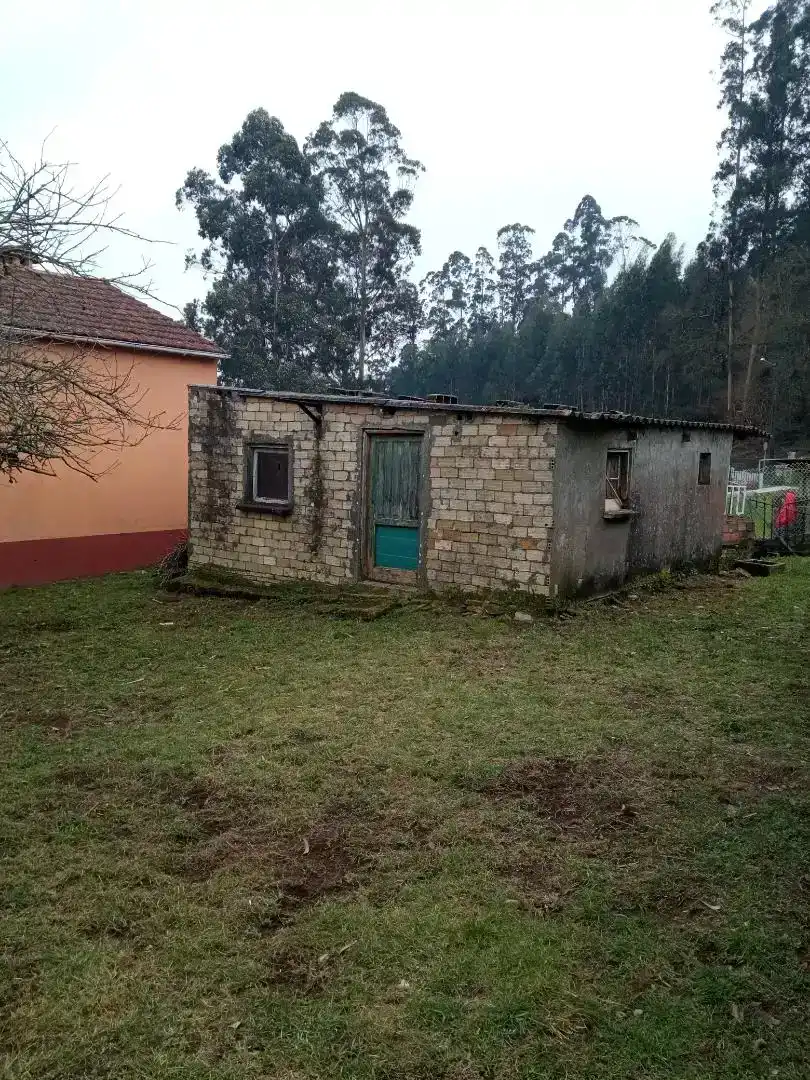 Planta baixa en venda en Mos