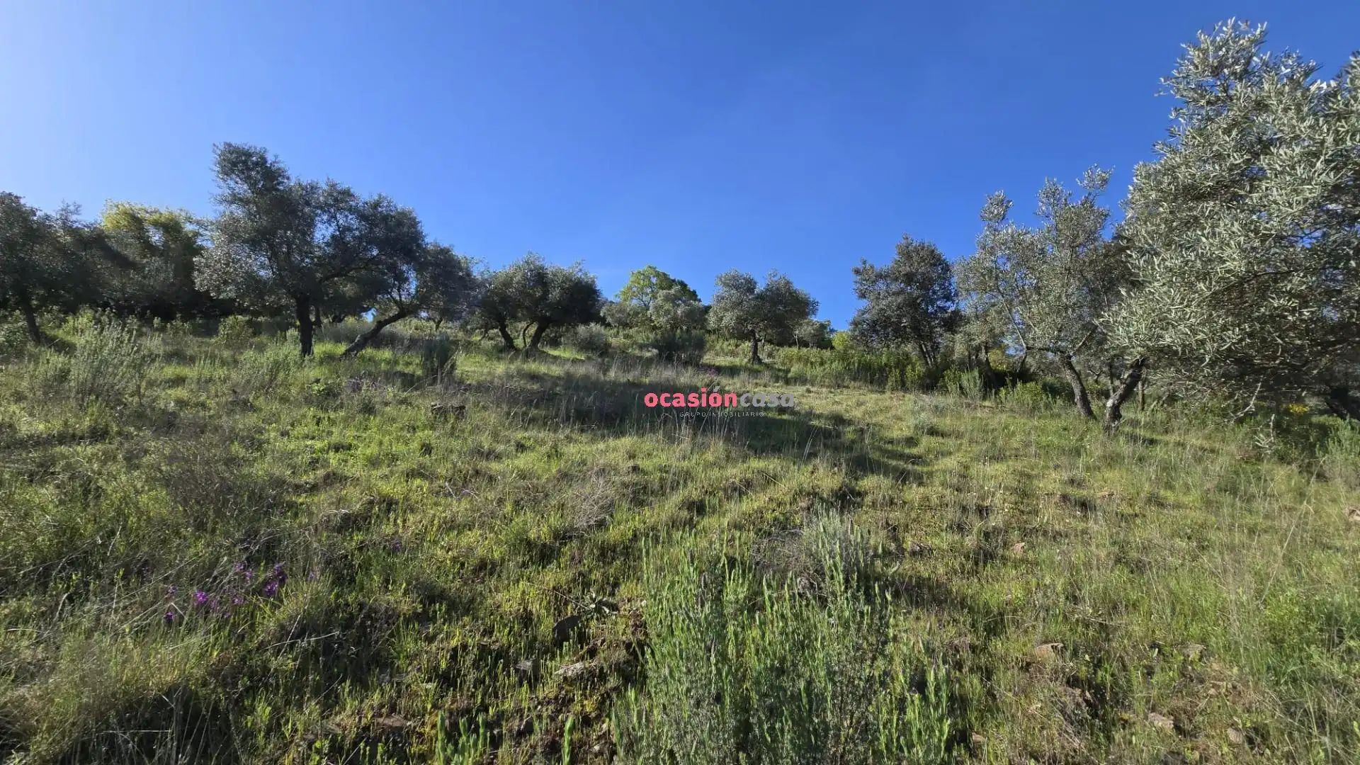 Casa o chalet en venta en Pozoblanco con Jardín privado, Terraza y Trastero