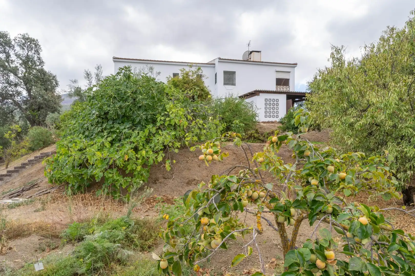 Garten von Haus oder Chalet zum Verkauf in Alhaurín El Grande mit Klimaanlage, Privatgarten und Terrasse