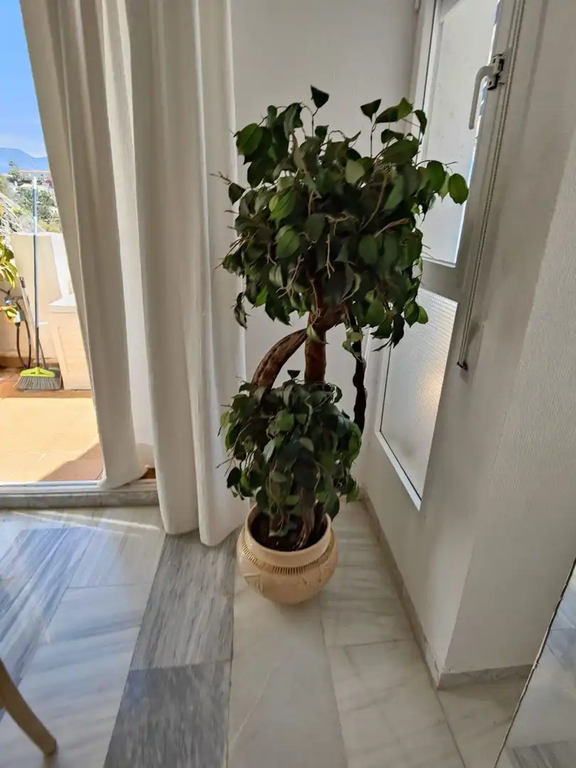 Wohnung mit Aufzug zur Miete in Paseo China Gorda 1, imagen 21