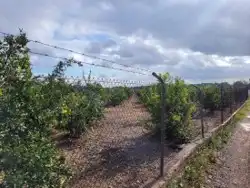 Terrain rustique à vendre à La Loma - Las Lomas, imagen 19