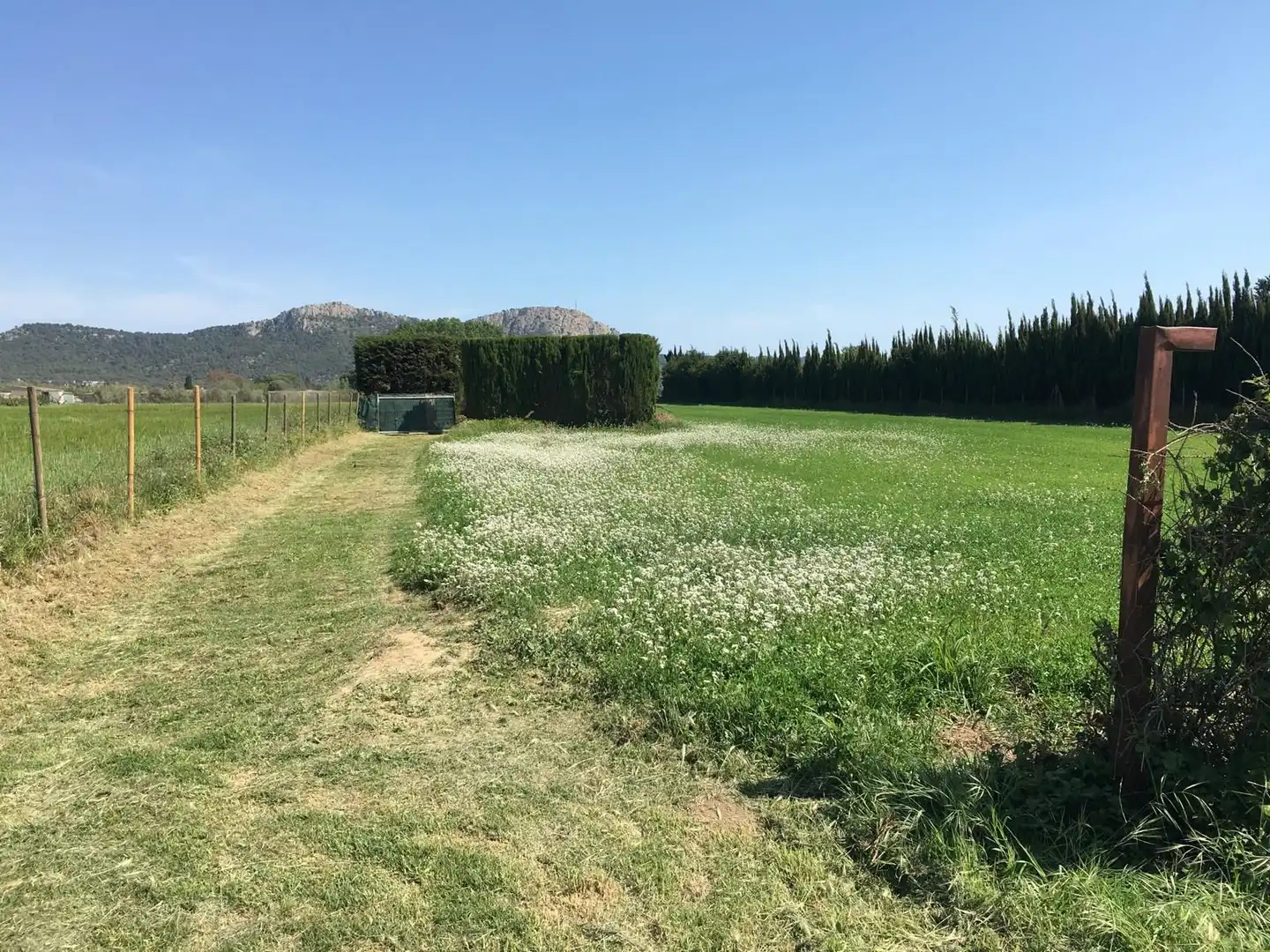 Terrenys i solars en venda a Els Griells, imagen 4