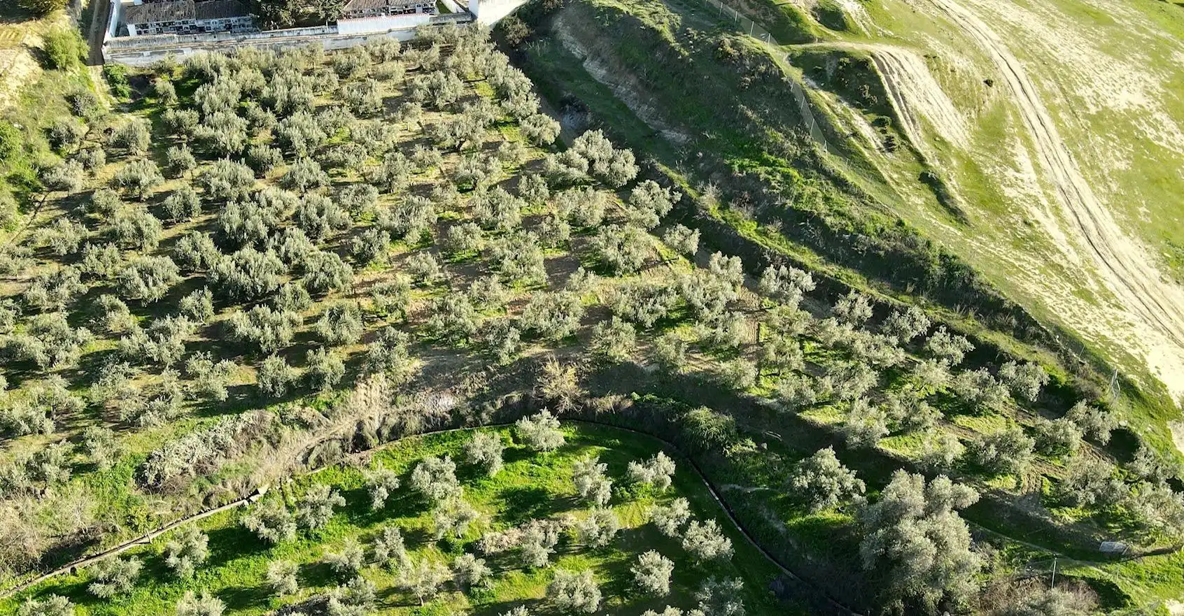 Terreno rustico in vendita a Urbanizacion PAGO VIÑA DEL REY, imagen 5