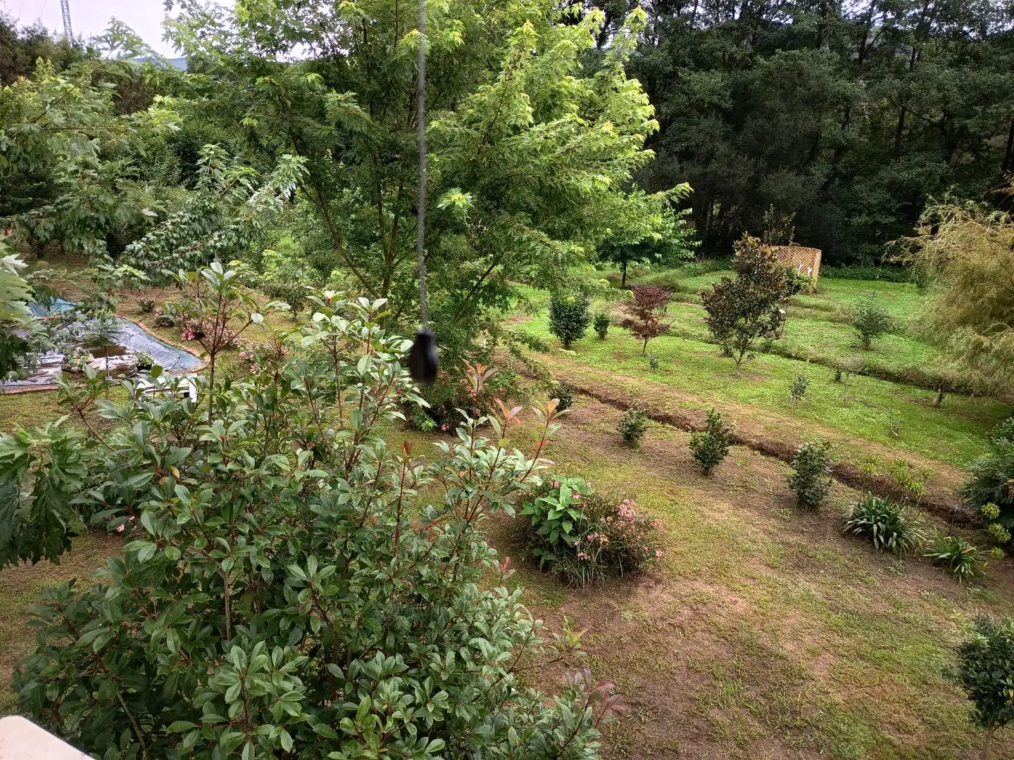 Garden of Houses for rent in Valdés - Luarca  with Heating, Private garden and Parquet flooring
