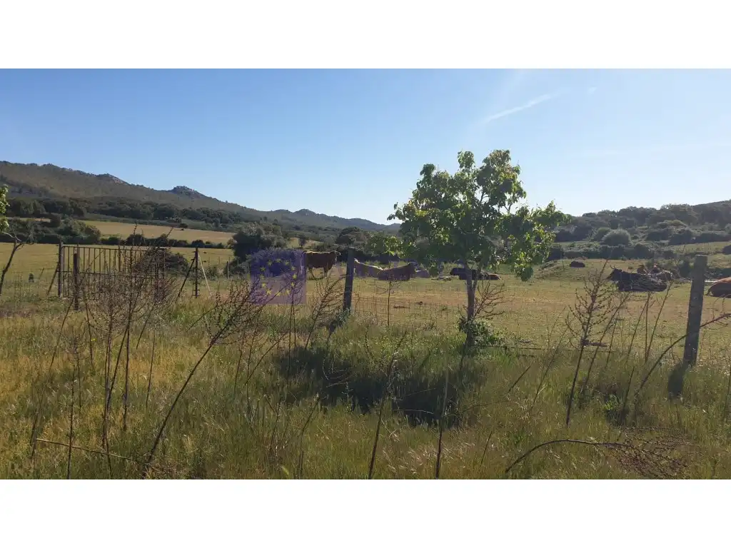 Houses for sale in Plaza Manuel De Falla, Zona Norte - Hospital - Urbanizaciones