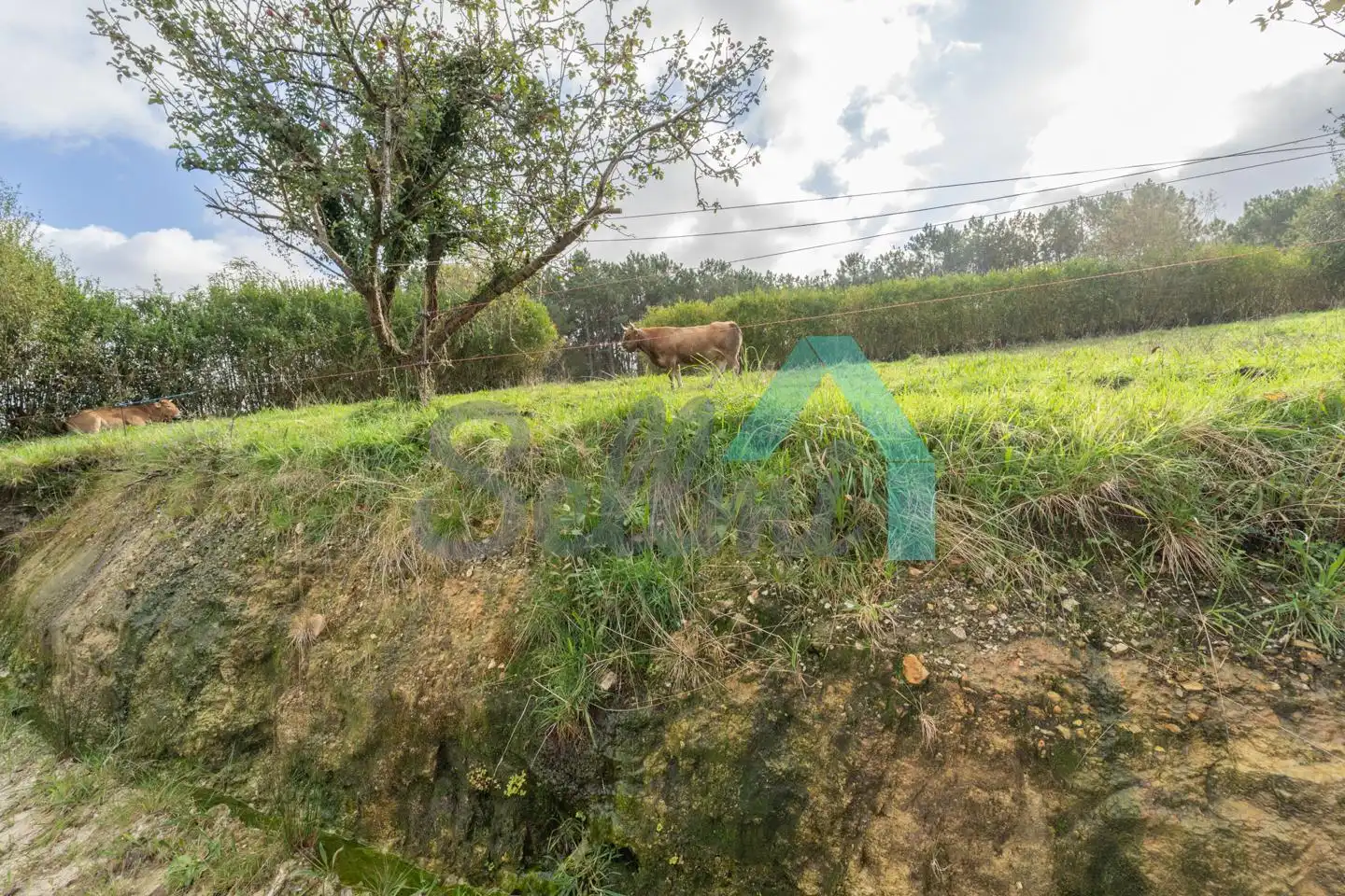 Casa o xalet en venda en Cudillero amb Jardí privat i Traster