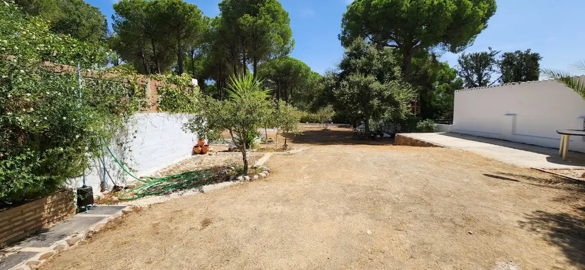 Jardín de Finca rústica en venta en Valverde del Camino