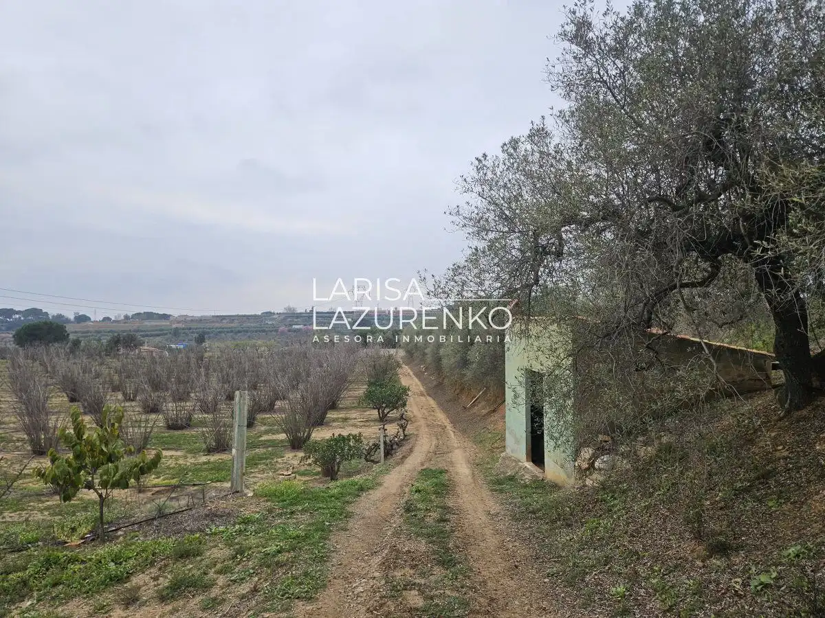 Finca rústica en venda en Riudoms