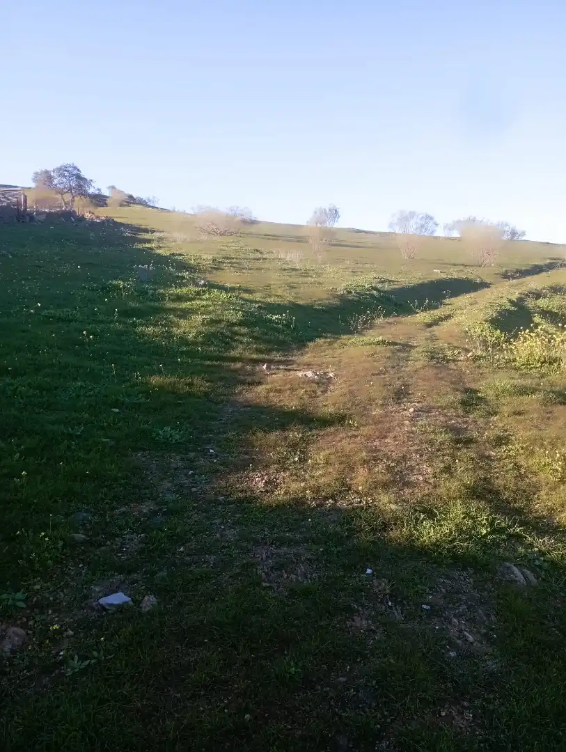 Terreno en venta en Puebla del Maestre